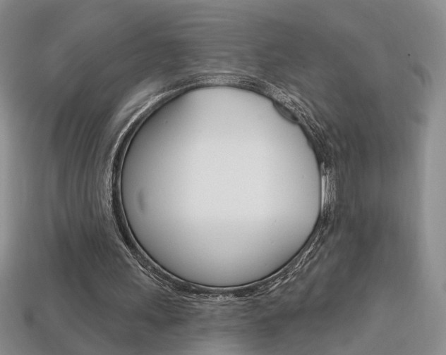 X0000113860243200909241031