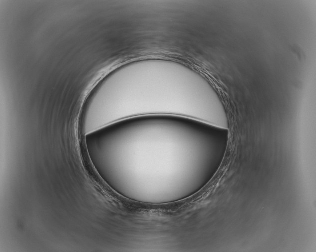 X0000113860244200909241031