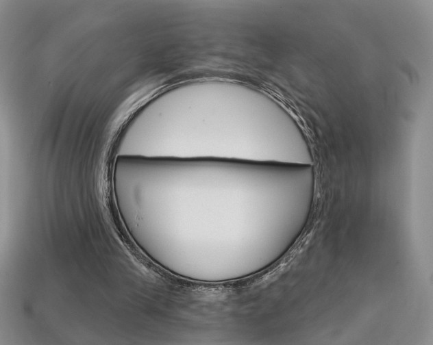 X0000113860245200909241031