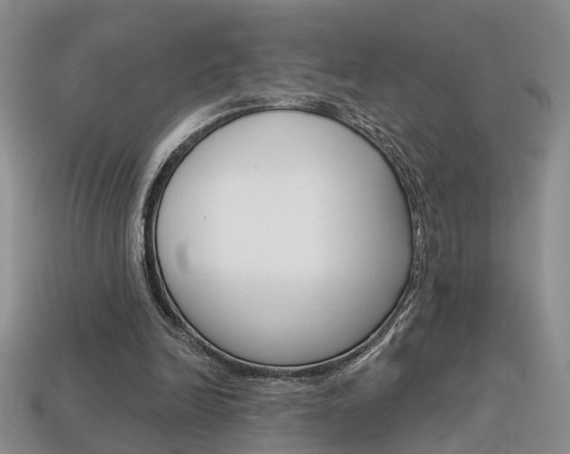 X0000113860246200909241031