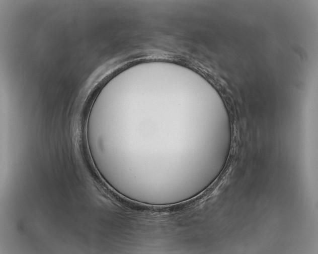 X0000113860247200909241031