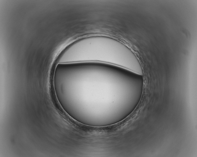 X0000113860248200909241031