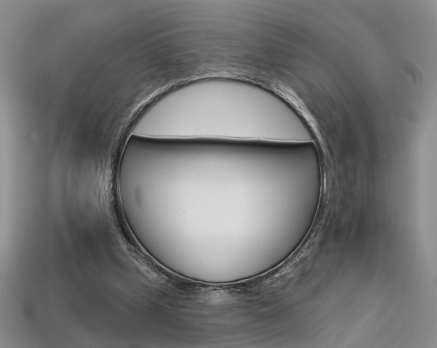 X0000113860249200909241031