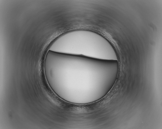 X0000113860250200909241031