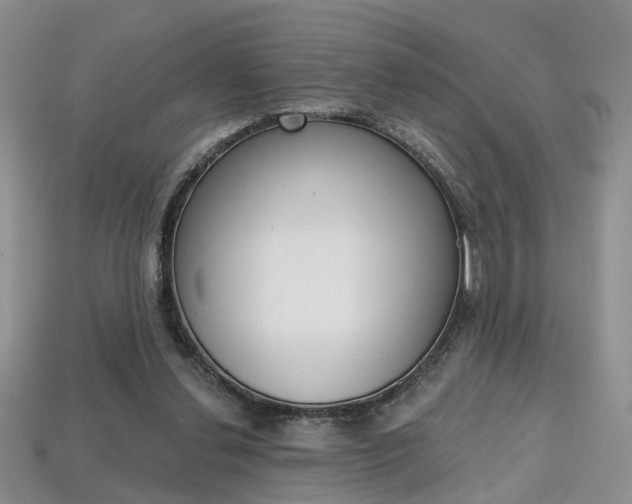X0000113860252200909241031
