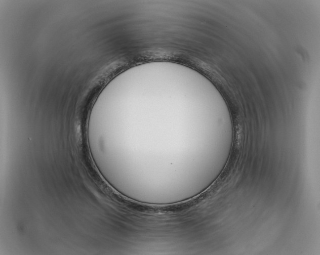 X0000113860254200909241031