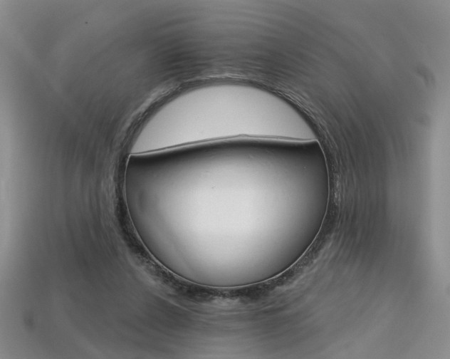X0000113860256200909241031