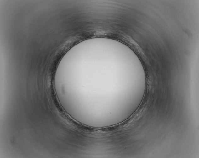X0000113860257200909241031