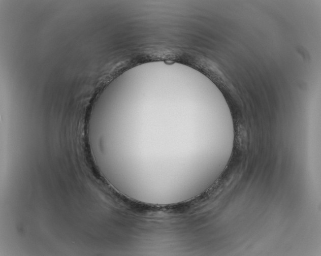 X0000113860259200909241031