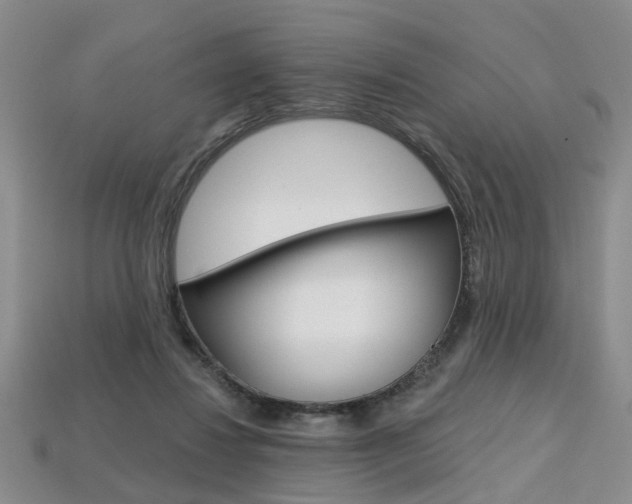 X0000113860260200909241031