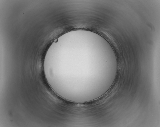 X0000113860261200909241031