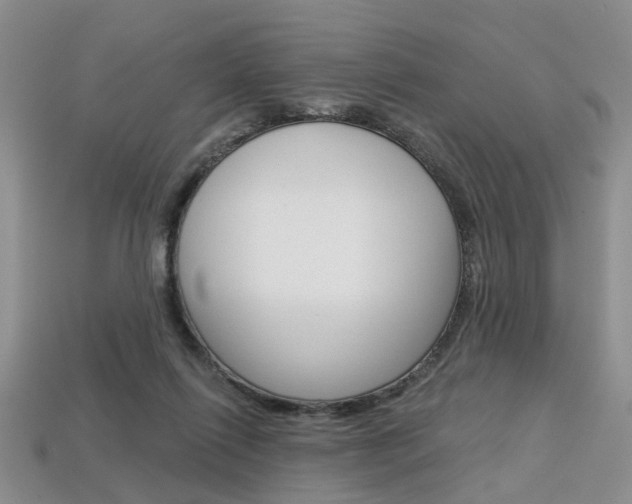 X0000113860262200909241031