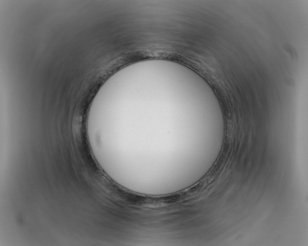 X0000113860263200909241031
