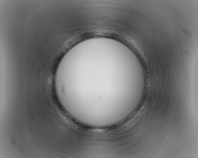 X0000113860265200909241031