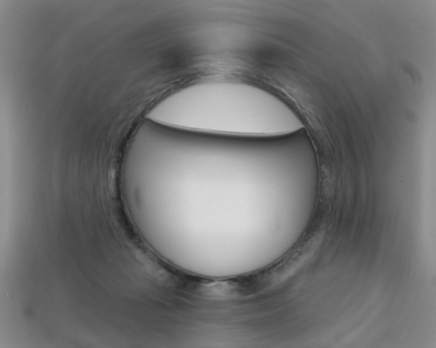 X0000113860269200909241031