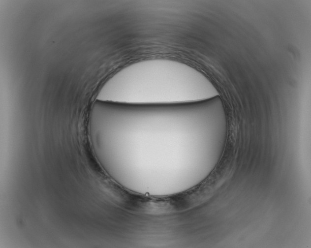 X0000113860270200909241031
