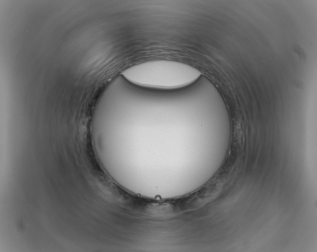 X0000113860271200909241031