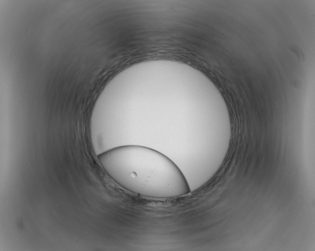 X0000113860272200909241031