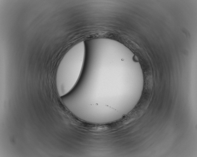 X0000113860274200909241031