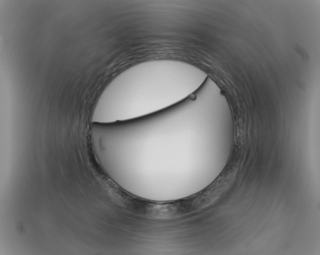 X0000113860277200909241031
