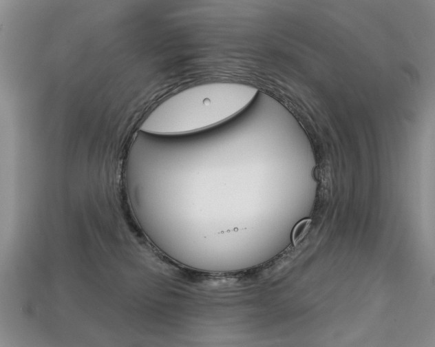 X0000113860278200909241032