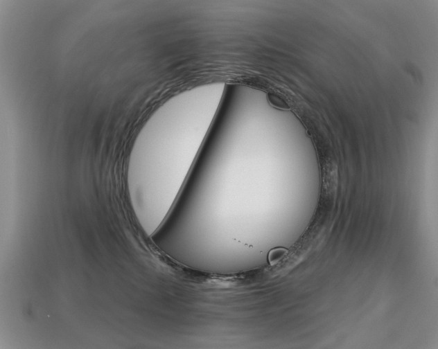 X0000113860280200909241032