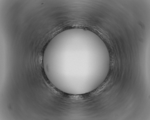 X0000113860281200909241032