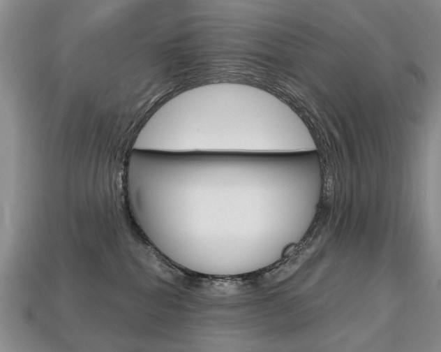 X0000113860282200909241032