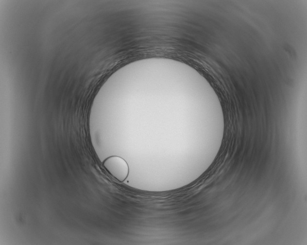 X0000113860284200909241032