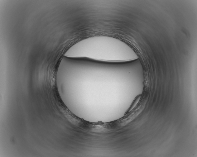 X0000113860285200909241032