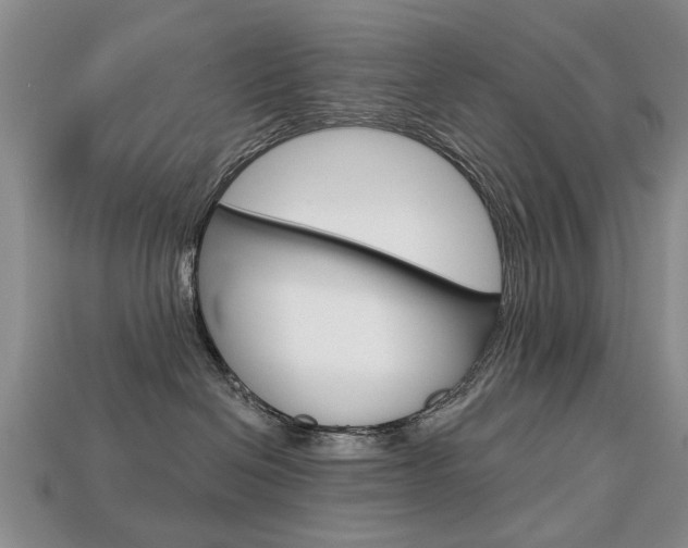 X0000113860286200909241032