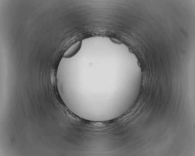X0000113860287200909241032