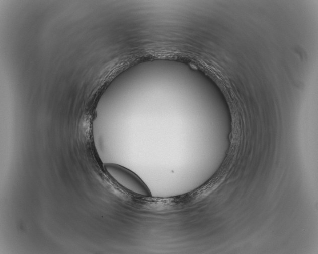 X0000113860288200909241032
