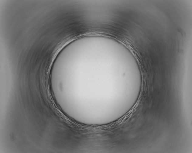 X0000113860289200909241031