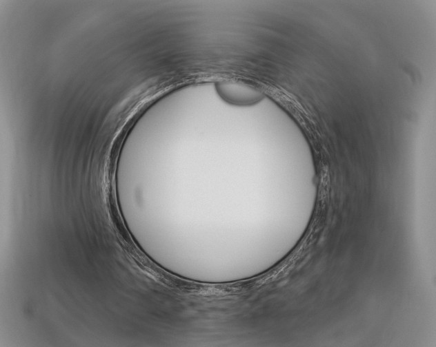 X0000113860290200909241031