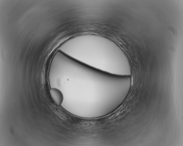 X0000113860291200909241031