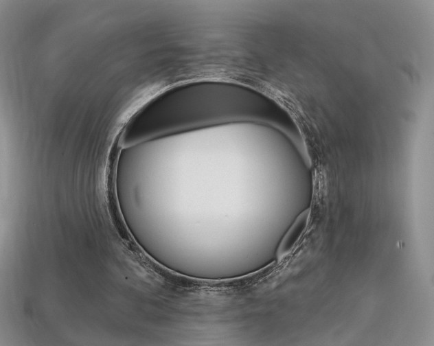 X0000113860292200909241031