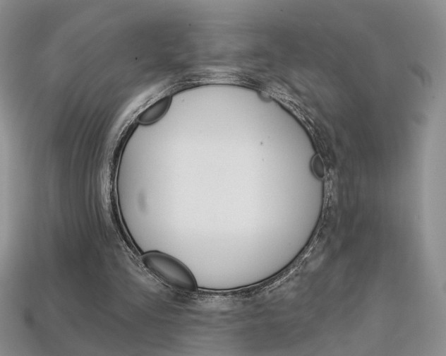 X0000113860293200909241031