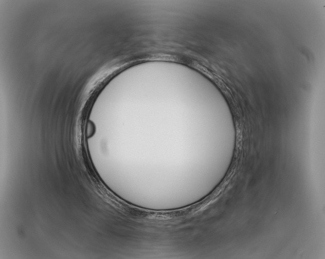 X0000113860294200909241031