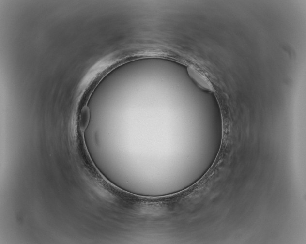 X0000113860296200909241031
