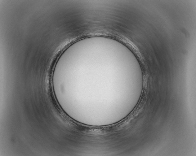 X0000113860298200909241031
