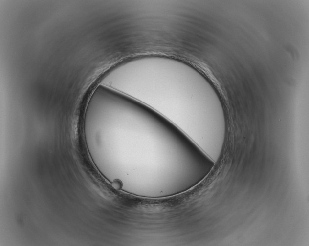 X0000113860299200909241031