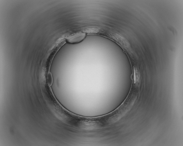 X0000113860300200909241031