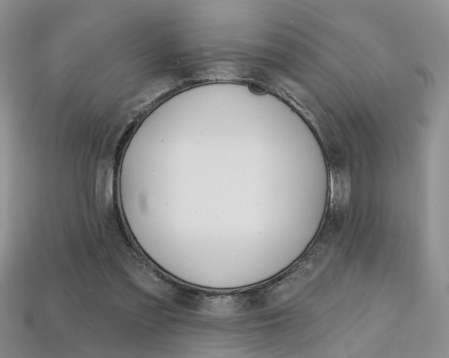 X0000113860301200909241031