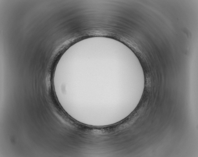 X0000113860302200909241031