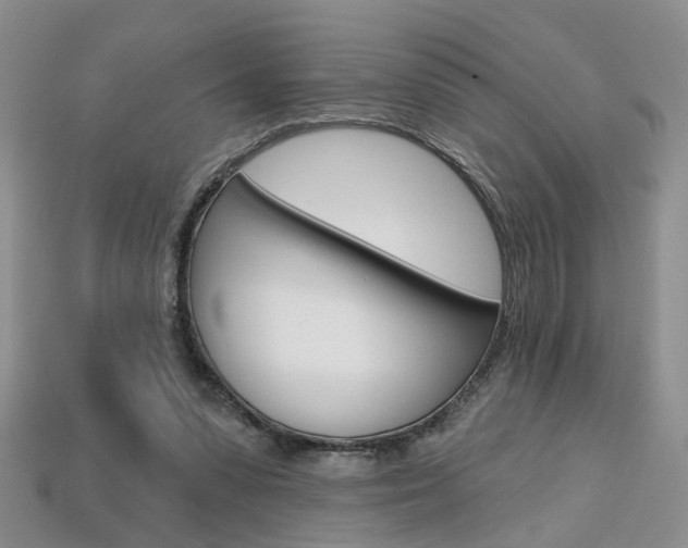 X0000113860303200909241031