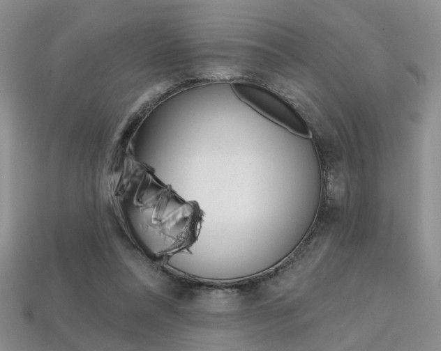 X0000113860304200909241031