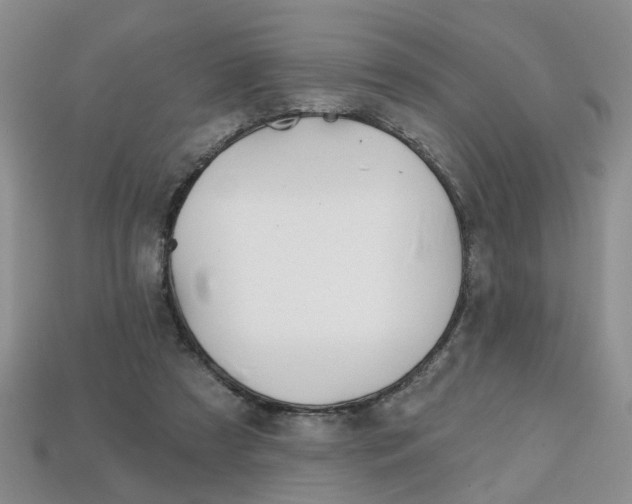 X0000113860305200909241031