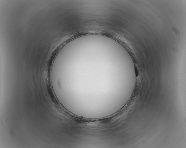 X0000113860306200909241031