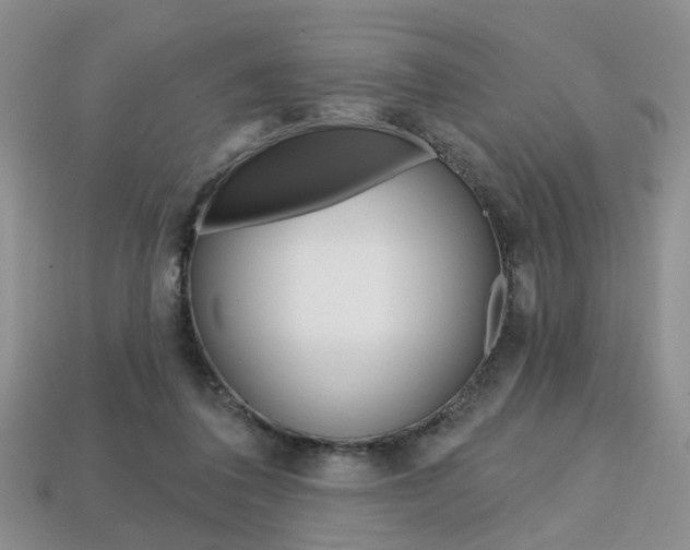 X0000113860308200909241031